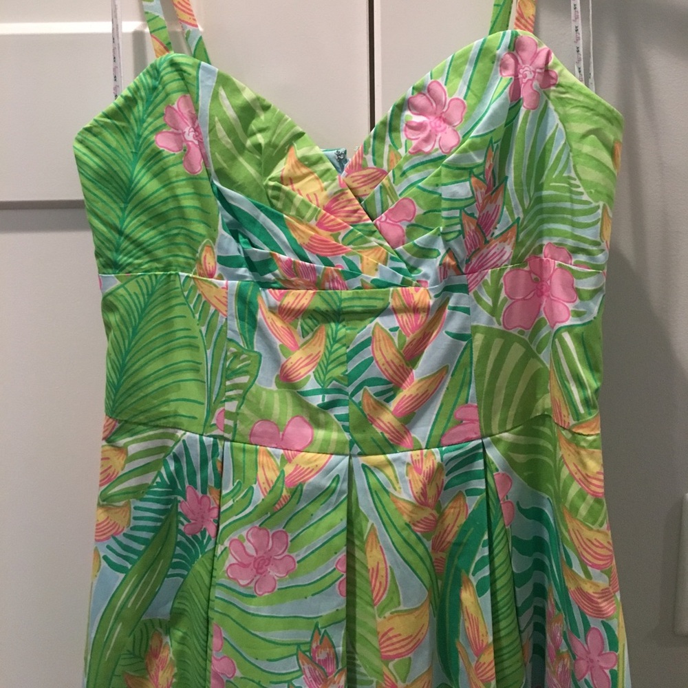 Lilly Pulitzer Dress - Picture 3 of 4